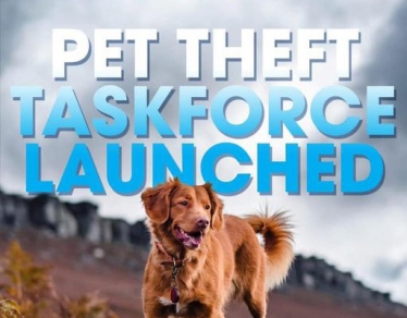 conservatives fighting pet theft